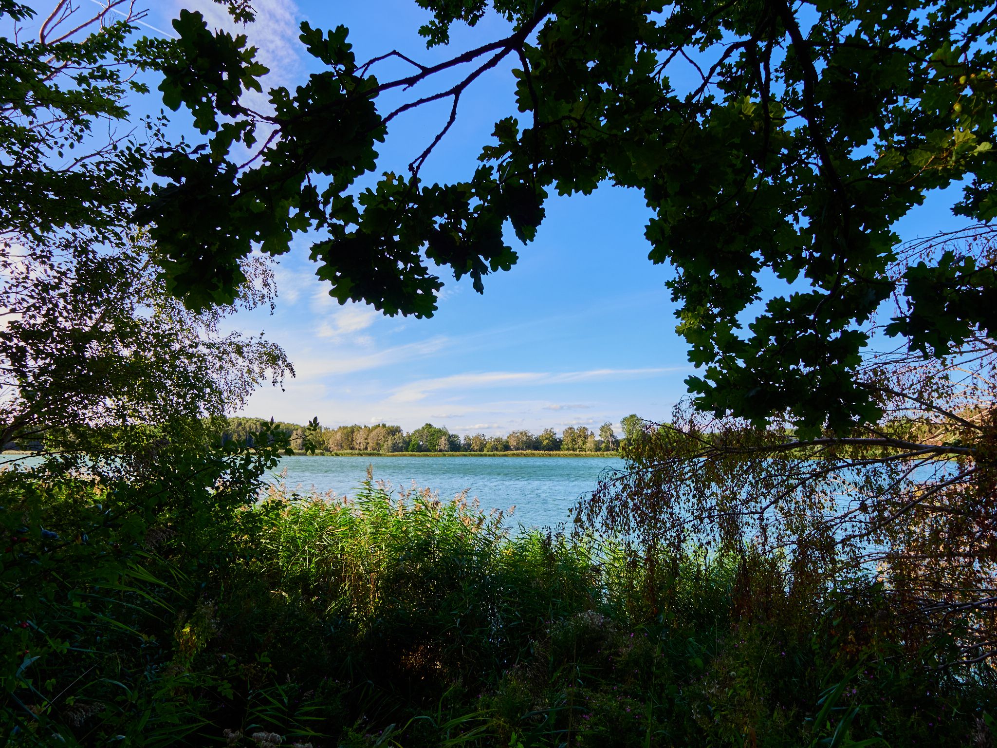 Landschaft 2024  1775 Usedom